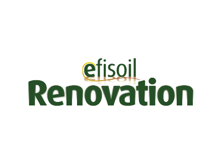 logo efisoil renovation